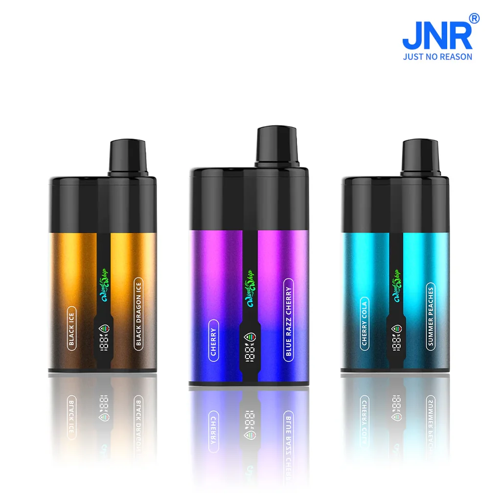 JNR Windwhip : Puff 2 Saveurs · Embout Rotatif