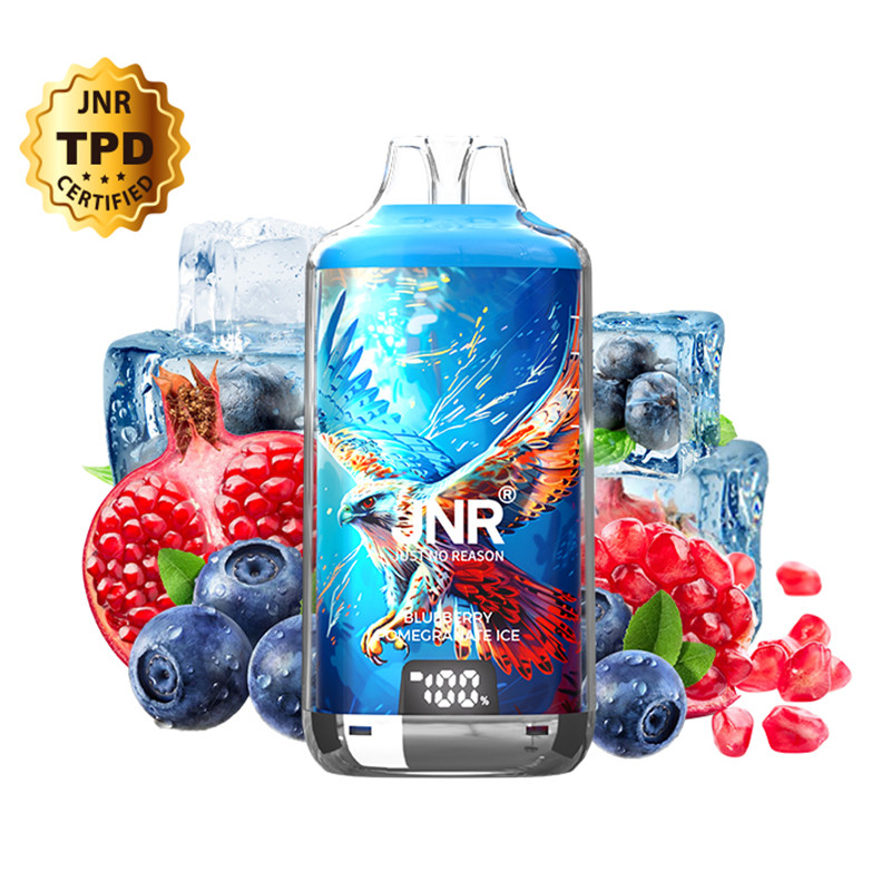 Goût JNR Puff Blueberry Pomegranate : L’Alliance Myrtille Grenade